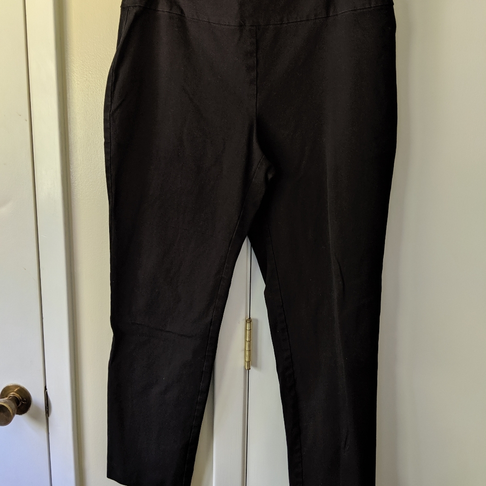 Black pull on ankle pants